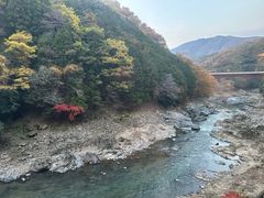 -岚山嵯峨野观光小火车