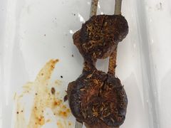烤羊腰-阳坊大都涮羊肉(阳坊总店)