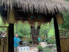 -大连植物园