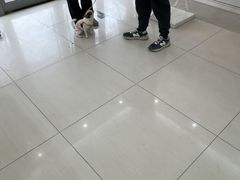 -全心全意连锁动物医院·微创中心·内科急重症·心脏专科(丰管路店)