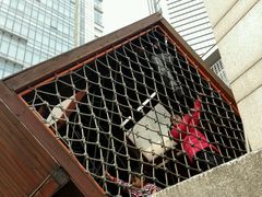 -中国福利会少年宫