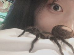 -藦茜花园宠物主题亲子互动体验馆(国顺东路店)