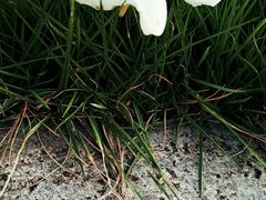 -南昌之星游乐场