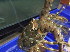 -芽庄老成都川菜馆