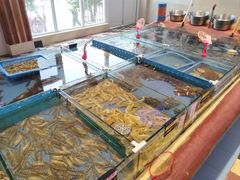 -山东八大碗山东老字号