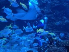 -海合安成都极地海洋公园