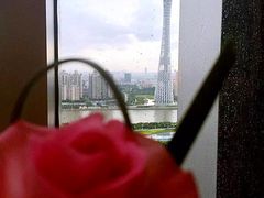 -广州富力丽思卡尔顿酒店