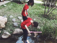 -东莞植物园