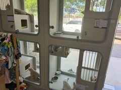 -唐小姐の私宠·宠物洗护美容·撸猫馆·购宠(周浦万达旗舰店)