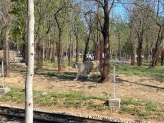 -秦皇岛野生动物园