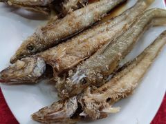 -蛇口康乐快餐鱼仔档(翠苑小区店)