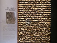 -珠海市博物馆
