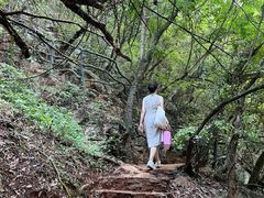 -普者黑风景区-青龙山