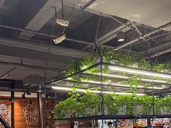-猫爪爪原切自助烤肉(观音桥阳光世纪店)