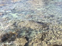 -三亚西岛海洋文化旅游区