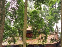 -都江堰普照寺