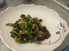 黄瓜花拌鸡枞菌-成都驻京办餐厅(蜀都宾馆店)