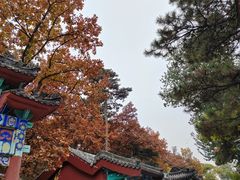 -红螺寺