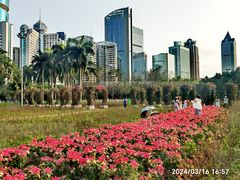 -万绿园