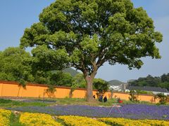 -宁波松兰山滨海旅游度假区
