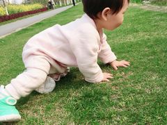 -田园东方蜜桃村的田野营地