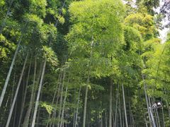 -采石矶景区