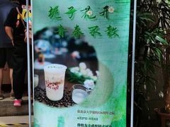 -北京大学百年讲堂