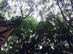 -东湖落雁景区