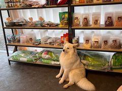 -趣多多宠物公园·宠物训犬学校·宠物寄养