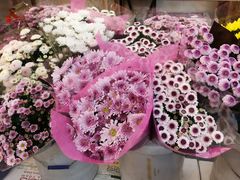 -双季花艺园艺市场(浦东店)