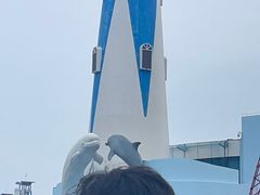 -大连圣亚海洋世界