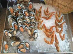 -视界美食自助餐厅·石家庄希尔顿酒店