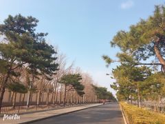 -钓鱼台国宾馆