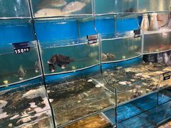 -丰收渔港饭店(嵊泗店)