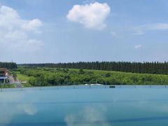 -黄海国家森林公园