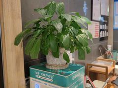 -谷田稻香(南洋1931店)
