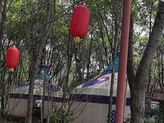 -草根堂农场