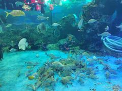 -大明湖海底世界