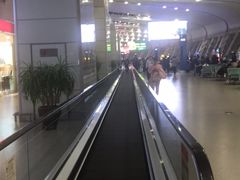 -合肥新桥国际机场-航站楼