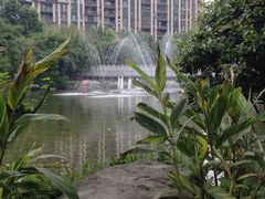 -龙头寺公园