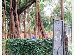 -云溪植物园