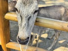 -茅山东方盐湖城景区