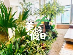 -Seesaw Coffee(朝阳大悦城店)