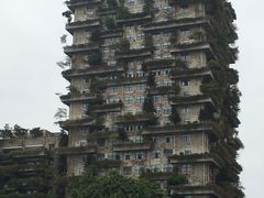 -碧桂园总部大楼