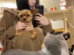 -comecome来吧宠物(奥克斯中心店)