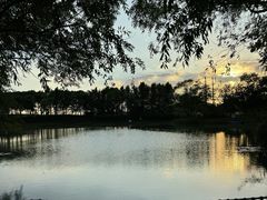 -贡湖湾湿地公园