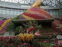 -花之城