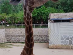 -泉州海丝野生动物世界