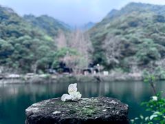 -宁海森林温泉