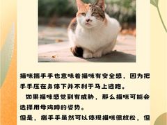 -博特宠物医院24h犬猫全科.骨科·异宠